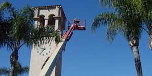 Bee Removal Pasadena CA Difficult bee removal using a 
      manlift.