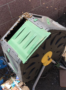 Pasadena Bee Removal Guy Anthony right after being stung on the lip.