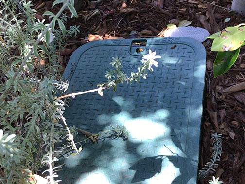 Bee Removal Pasadena This is a picture of a mature hive between the first and second story of a house.