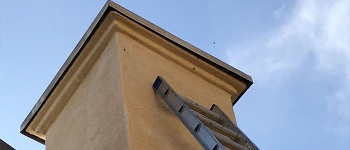 Pasadena Bee Removal Guys Tech Michael