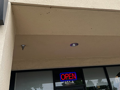 Bee Removal Pasadena This is     a picture of a swarm that is in the eave of a house.