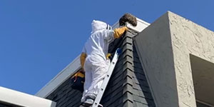 Bee Removal Pasadena CA Difficult bee removal using a       manlift.