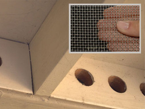 Bee Removal Pasadena This is     a picture of a swarm that is in the eave of a house.