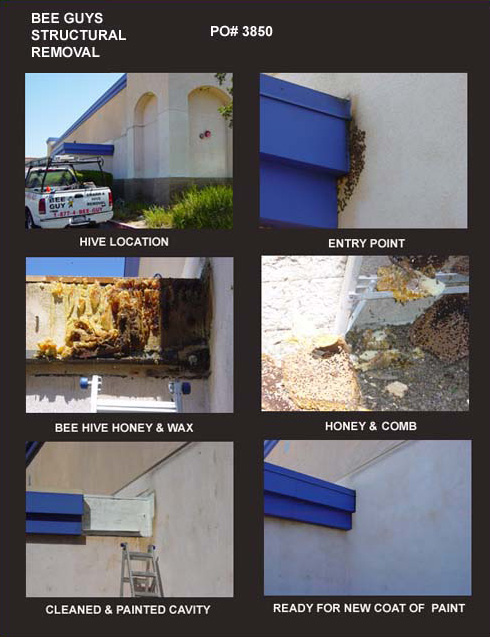 Property Managers Report