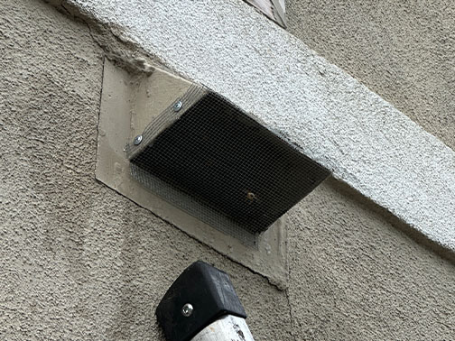 Bee Removal Pasadena This is     a picture of a swarm that is in the eave of a house.