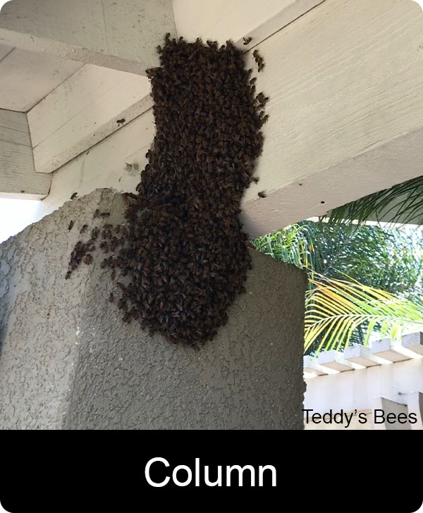 Picture of bee removal from a column on a house. nav link image