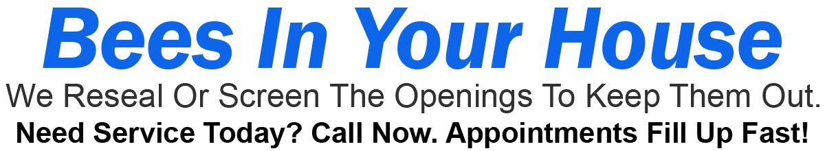 Teddys Bee Removal company logo with text that says, Live Bee Relocation. Bees in your home? Call now. Appointments fill up fast