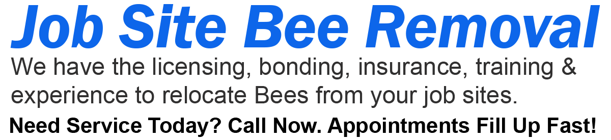 Teddys Bee Removal company logo with text that says,we remove bees from jobsites. Call now. Appointments fill up fast