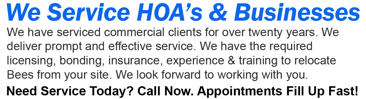 Teddys Bee Removal company logo with text that says,We service Home Owner Associations and Businesses. Call now. Appointments fill up fast