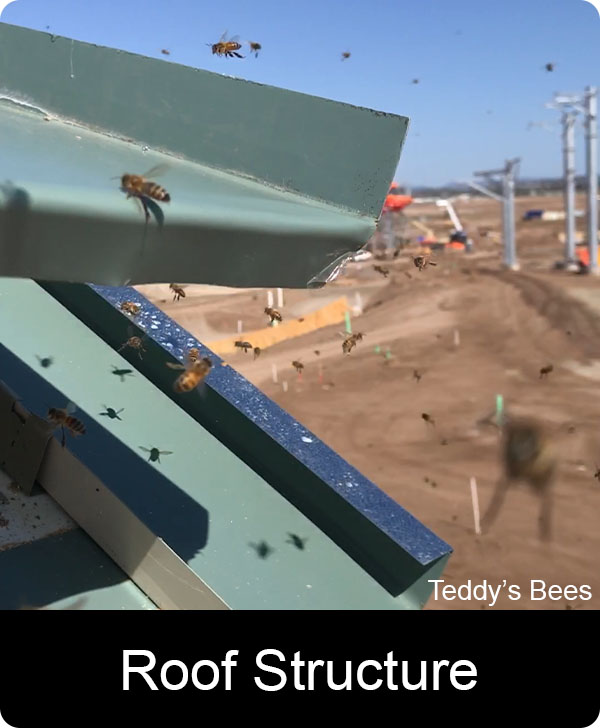 Picture of a teddys Bee removal from the roof of a water park ticket booth. nav link image