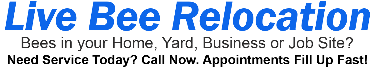 Live Bee Relocation. Bees in your home, yard, business or job site? Need service today? Call now. Appointments fill up fast!